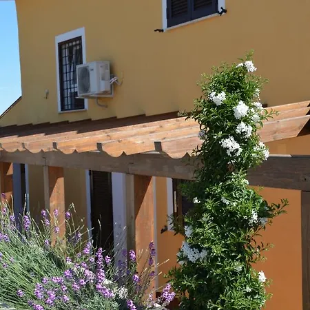 Guest house Casale Tuscolano *